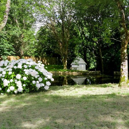 The Cottage At Wylan Hall Llanddona Eksteriør billede